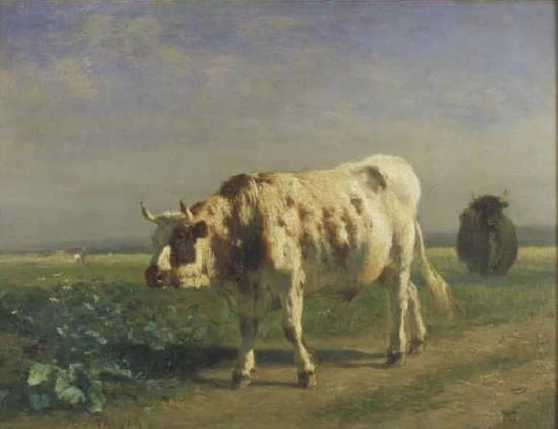 Il toro bianco - Museum Boijmans Van Beuningen, Rotterdam